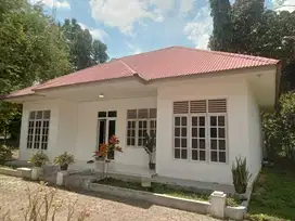 Rumah atau Kantor 1 Lantai Luas, Terjangkau, dan Nyaman