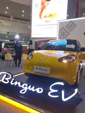 [Mobil Baru] Wuling Binguo Ev 333 Ccs2