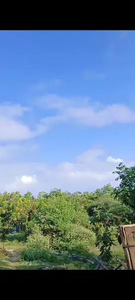 Ocean view land for sale