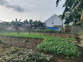 Dijual Tanah/Tapak Rumah
