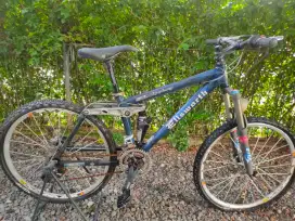 Sepeda Ellsworth Epiphany MTB