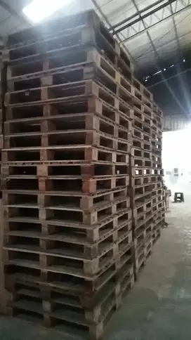 Pallet kayu bekas Uk. 120 x 100 cm masih sangat layak pakai