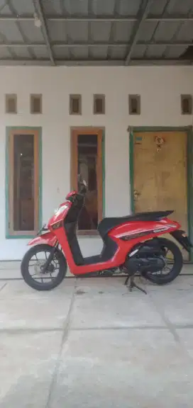 Genio original merah