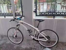 SEPEDA MTB CARBON MERK WHYTE 19C