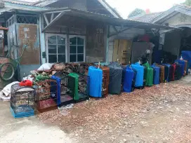 Murai batu Medan ada pilihan
