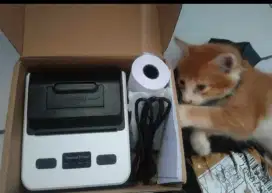 Printer Thermal Bluethoot
