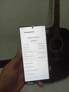 Samsung Galaxy S22 Ultra 12/512Gb