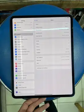 Ipad pro m4 13 inch wifi only 256 baru aktiv tgl 19 agustus