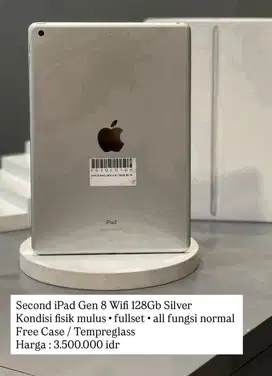 ipad gen 8 128 wifi only