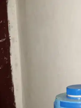 ART (Asisten Rumah Tangga)