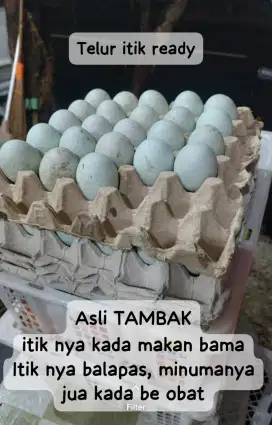 Telur itik asli tambak