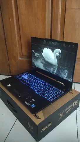 Laptop Gaming ASUS TUF FX506H