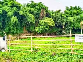 Dijual Tanah 486.0 M² Shm Serua Ciputat Strategis Termurah