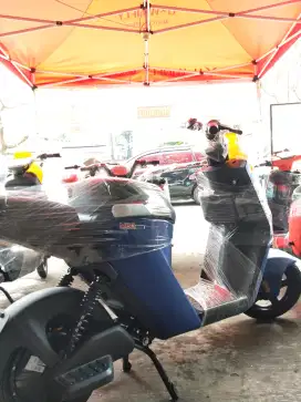 Sepeda listrik M60L