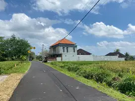 Tanah Super Cantik Dekat Green School International Bali