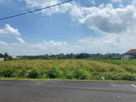 Beautiful 18 Are Land Near Green School International Bali