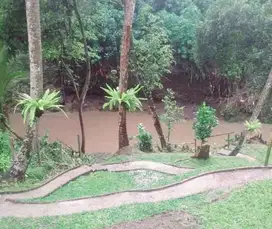 Dijual tanah los sungai lokasi bantas munggu badung