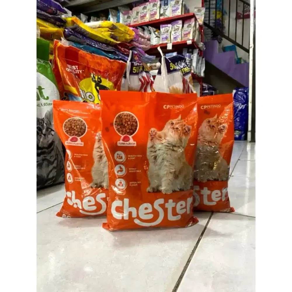 Ready siap antar!! Makan kucing