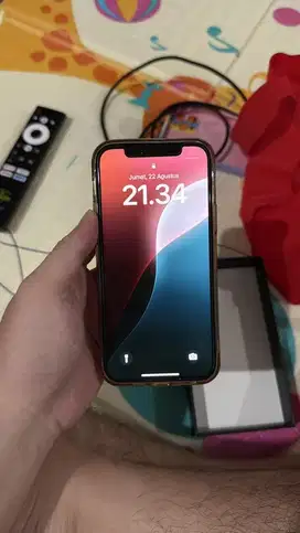 Iphone 12 Pro 256Gb