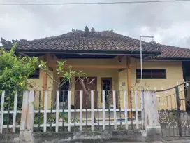 Dijual cepat rumah - bayuasri singaraja bali