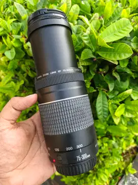 lensa tele canon 75-300mm iii