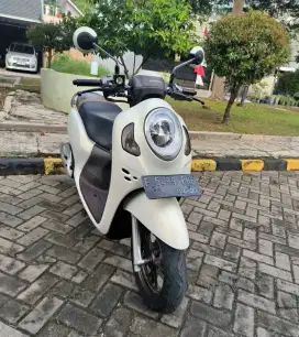 Honda scoopy th 2022