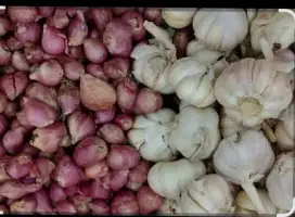 Jasa kupas bawang