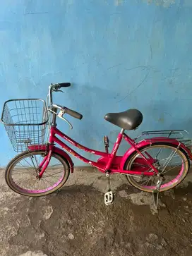 sepeda anak JIEYANG untuk wanita