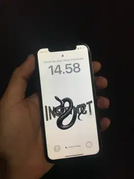 iPhone xs 256gb ex inter