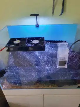 Aksesoris Aquarium