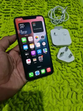 iPhone XS max 64 GB mulus all operator