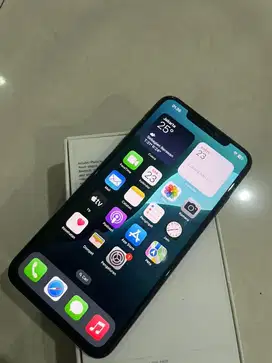 iphone XS MAX 256 GB ibox resmi