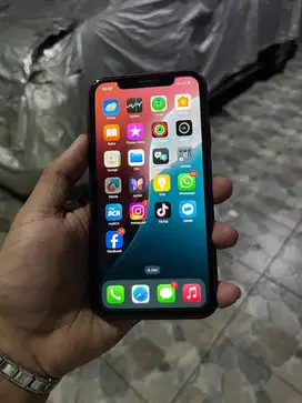 Iphone Xr ex inter 64gb