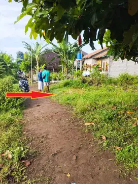 BU SEGERA DIJUAL MURAH 1,25 JT/M NET PAS Tanah Pekarangan Luas 470 M2.