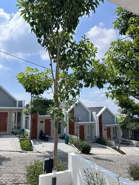 LAST UNIT RUMAH 1 LANTAI DI SIRANDA TERRACE