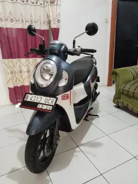 Honda Scoopy Pajak Hidup