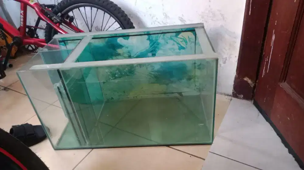 Aquarium ikan masih bagus poll