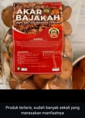 AKAR KAYU BAJAKAH ASLI KALIMANTAN