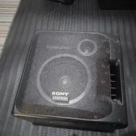 Speaker Asatron
