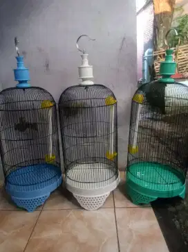 sangkar BARU lb warna