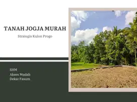 Tanah Murah Jogja Barat : Strategis Kulon Progo, SHM