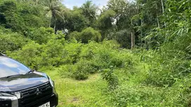 Tanah Area Pemda Sleman 600 Meter GOR Tridadi