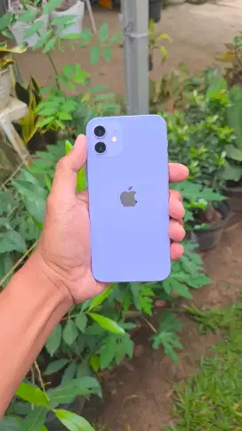 Iphone 12 256GB Ibox Mulus