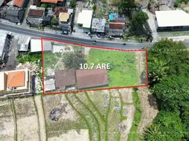 LAND FOR SALE IN KEDUNGU WITH RICE FIELD AND RIVER VIEW