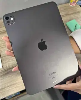 I PAD PRO M4 256GB