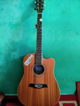 Gitar merk veena