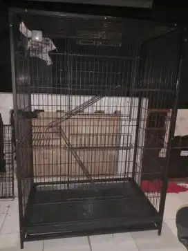 Kandang kucing tingkat jumbo
