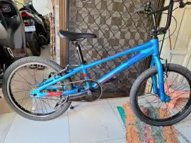 BMX Polygon Rogue