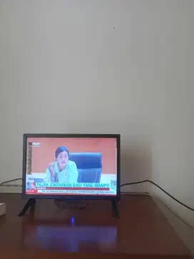 TV LED animax digital 22in