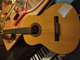 Gitar Akustik Original Yamaha C315+Softcase dan Senar Albert Augustine